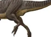 Quiz Saurez-vous reconnatre ces dinosaures ?