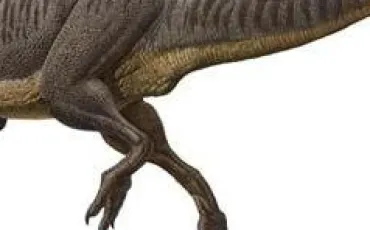 Quiz Dinosaures