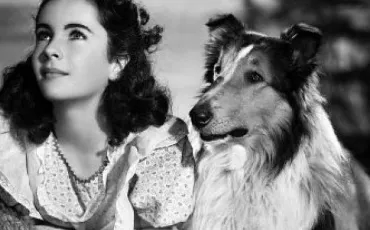 Quiz Elizabeth taylor