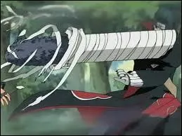 Quel est le nom de l'arme ? Possesseur(s) : Fuguki Suikazan, Kisame Hoshigaki. Killerbee.