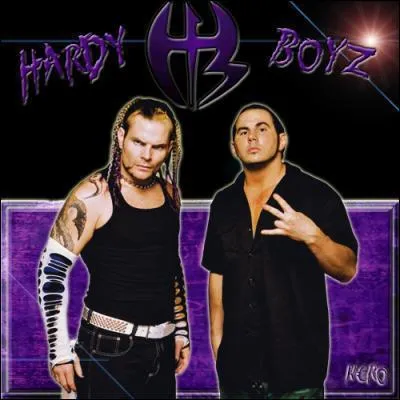 D'o viennent les Hardys Boyz ?