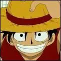 Dans quel manga peut-on voir Monkey D. Luffy ?