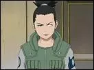 Dans quel manga peut-on voir Shikamaru Nara ?