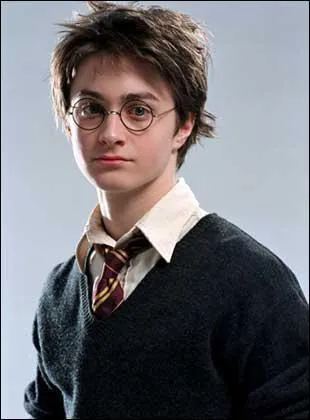 Qui est Harry Potter ?