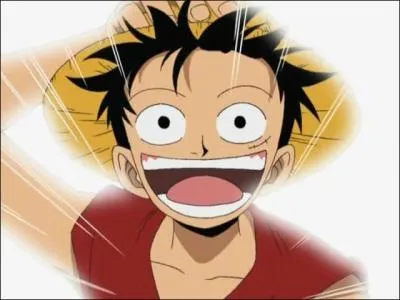 Qui est le personnage principal de One Piece ?