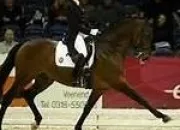 Quiz English riding lesson : figures