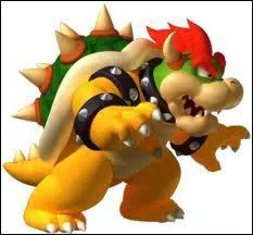 De quel jeu Bowser est-il un personnage ?