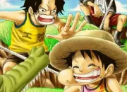 Quiz Pass de Luffy et Ace 2