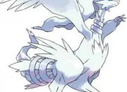 Quiz Pokmon Reshiram et Zerom !