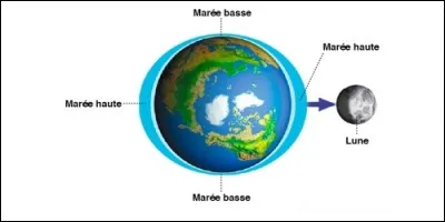 La force d'attraction de la Terre est la force de :