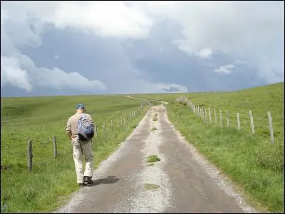 Qui chantait 'Car j'tais sur la route toute la sainte journe j'ai pas vu le doute en toi s'immiscer, j'tais sur la route toute la sainte journe si seulement j'avais pu lire dans tes penses' ?