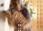 Quiz Star Wars : Chewbacca !