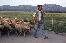 Comment appelle-t-on le moment o le berger monte dans la montagne avec ses btes ?