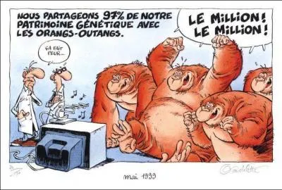 Nous partageons avec les grands primates ...