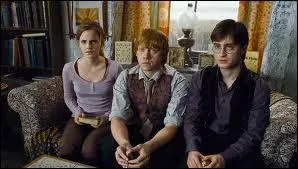 Harry, Ron et Hermione ont devant eux Scrimgeour qui leur lit le testament de Dumbledore, mais dans quel film ?