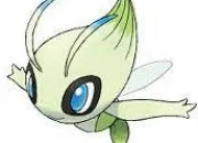 Quiz Celebi et Zorua