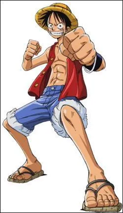 Quelle est la 1re prime de Luffy ?