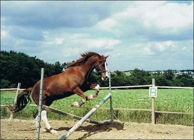 Quel est le nom de cet obstacle ?