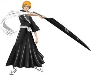 Comment Ichigo a-t-il eu ses pouvoirs ?