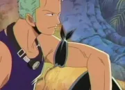 Quiz Zoro Roronoa