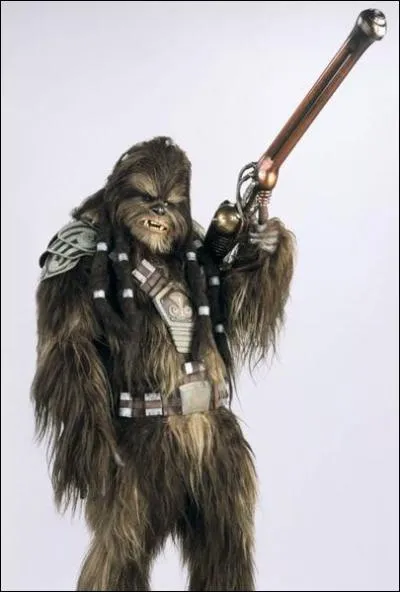 Comment se nomme ce wookie ?