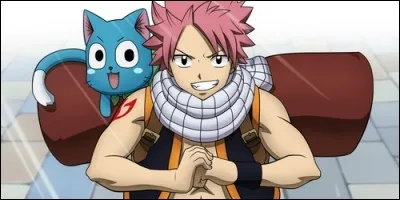 Dans "Fairy Tail", qui se fait appeler Salamander et se promène avec un chat volant, nommé Happy ?