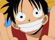 Quiz One Piece facile, ou presque 