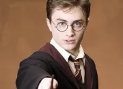 Quiz Harry Potter : les personnages