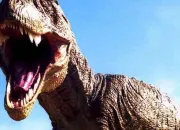 Quiz Les Dinosaures : le Tyrannosaurus ( T-Rex )