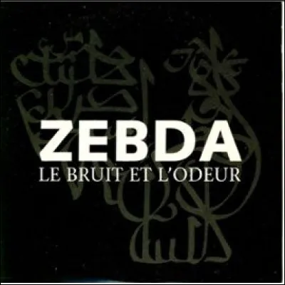 ''Un travailleur français qui voit sur son palier un père, ses trois ou quatre épouses et une vingtaine de gosses qui gagnent 50 000 francs sans travailler... si vous ajoutez le bruit et l'odeur, il devient fou.''