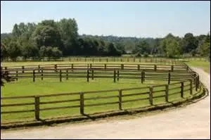 Qu'est- ce qu'un paddock ?