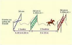 Quiz Equitation