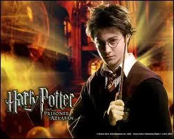 Pourquoi Harry Potter est-il clbre ?