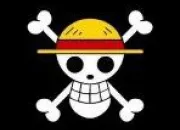 Quiz Reconnatrez-vous les drapeaux pirates ?