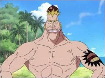 Quel surnom Luffy donne-t-il  ce personnage ? (selon la version que vous avez vu)