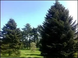 Cet arboretum situ  Rocquencourt vous permettra de voyager  travers les arbres des rgions tempres du monde entier :