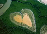 Quiz Les merveilleux clichs de Yann-Arthus Bertrand