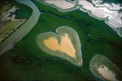 Sans doute l'une des photos les plus clbres de Yann-Arthus Bertrand, elle reprsente une le de Nouvelle-Caldonie surnomme...