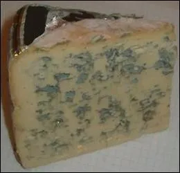 Quel est le nom de ce fromage ?