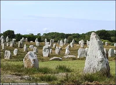 Dans quelle commune se trouve ces menhirs aligns ?