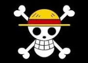 Quiz One Piece drapeaux