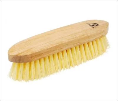 Comment s'appelle cette brosse ?