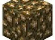 Quiz Tu es sr que tu connais bien Minecraft ?