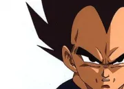 Quiz Dragon Ball Z : Vgta (11)