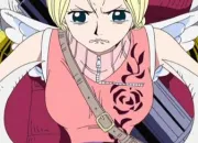 Quiz Personnages de One Piece (17)