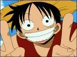 Quel est le surnom de Luffy ?