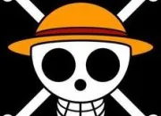 Quiz Drapeaux pirates de One Piece