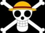 Quiz One Piece : les drapeaux pirates