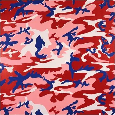 Qui est le peintre de ce tableau Camouflage ?