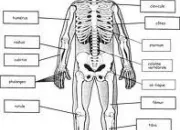 Quiz Un peu de tout (3)